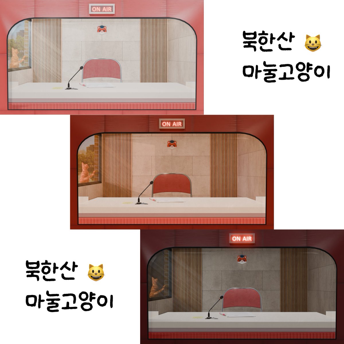 북한산마눌고양이😸 tweet media