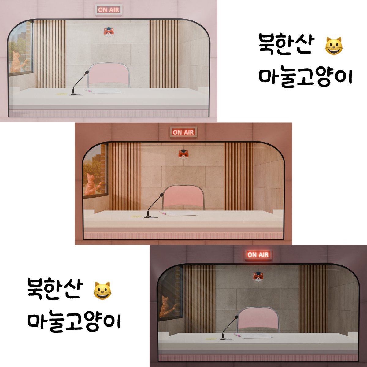 북한산마눌고양이😸 tweet media