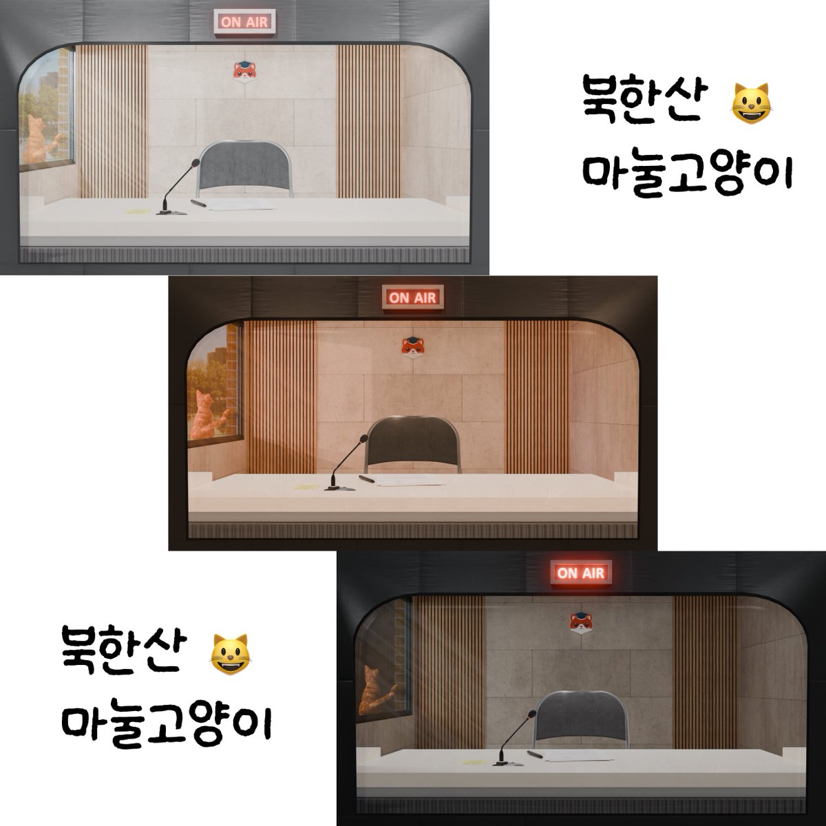 북한산마눌고양이😸 tweet media