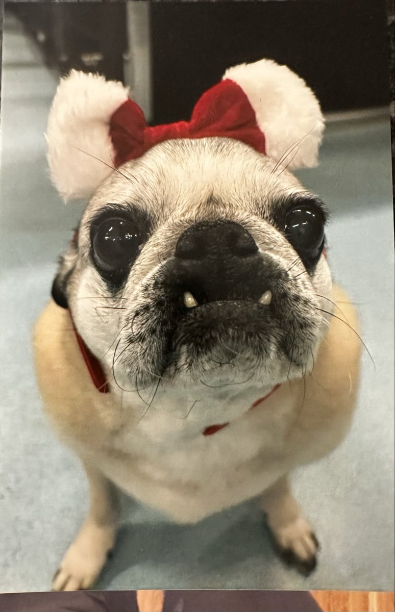 Mim Davey Kessler tweet media