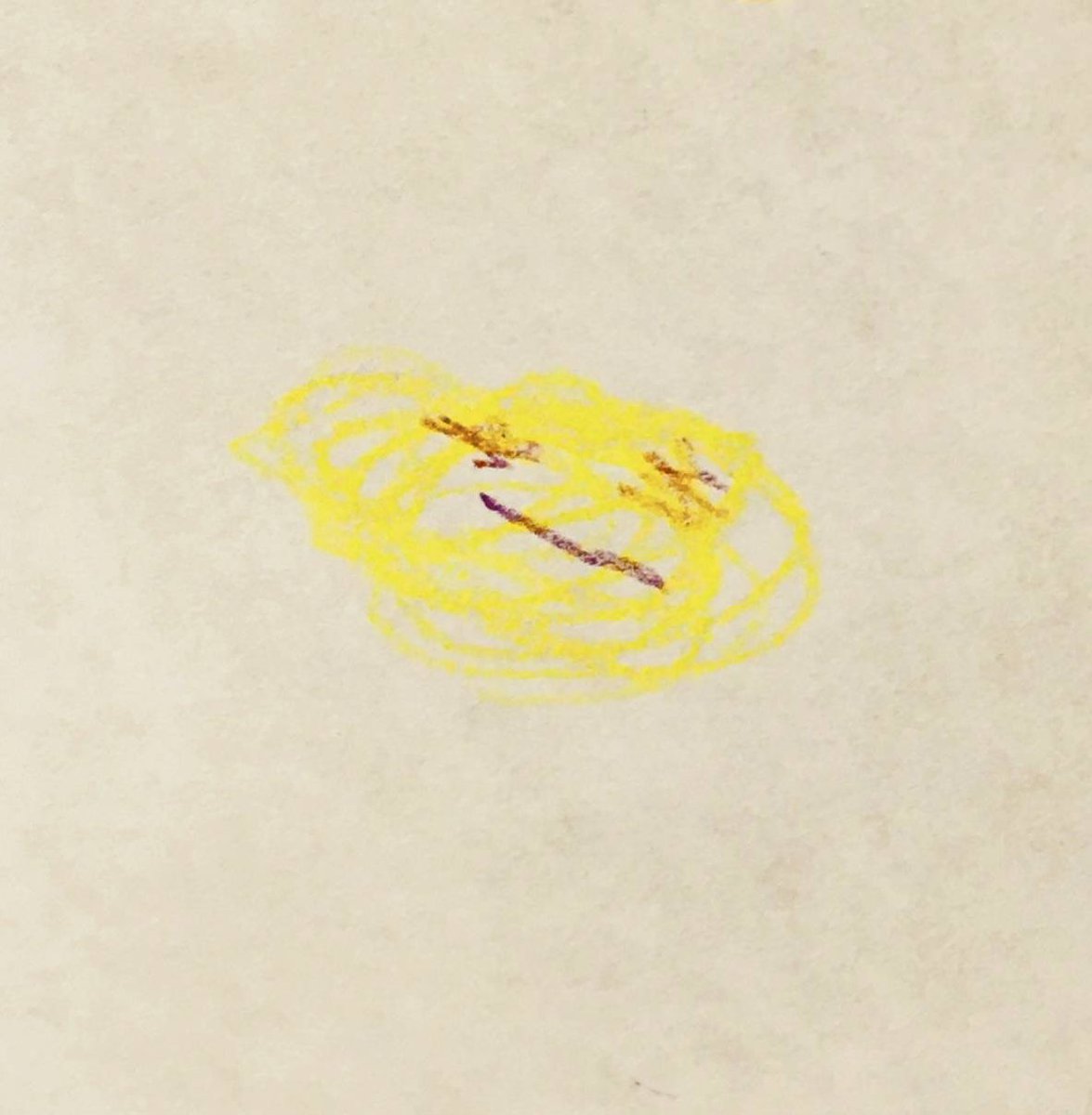 【お知らせ💿】

3月20日(金・祝)

ミミーブレッド、Little Miss SunshineのVo&amp;Guナッツの新プロジェクト

WALNUTS BREAD
1st single『LEMON』

をリリースします！

一緒に作品を作るのは14年振り(？)(やばい)
お楽しみに🥖