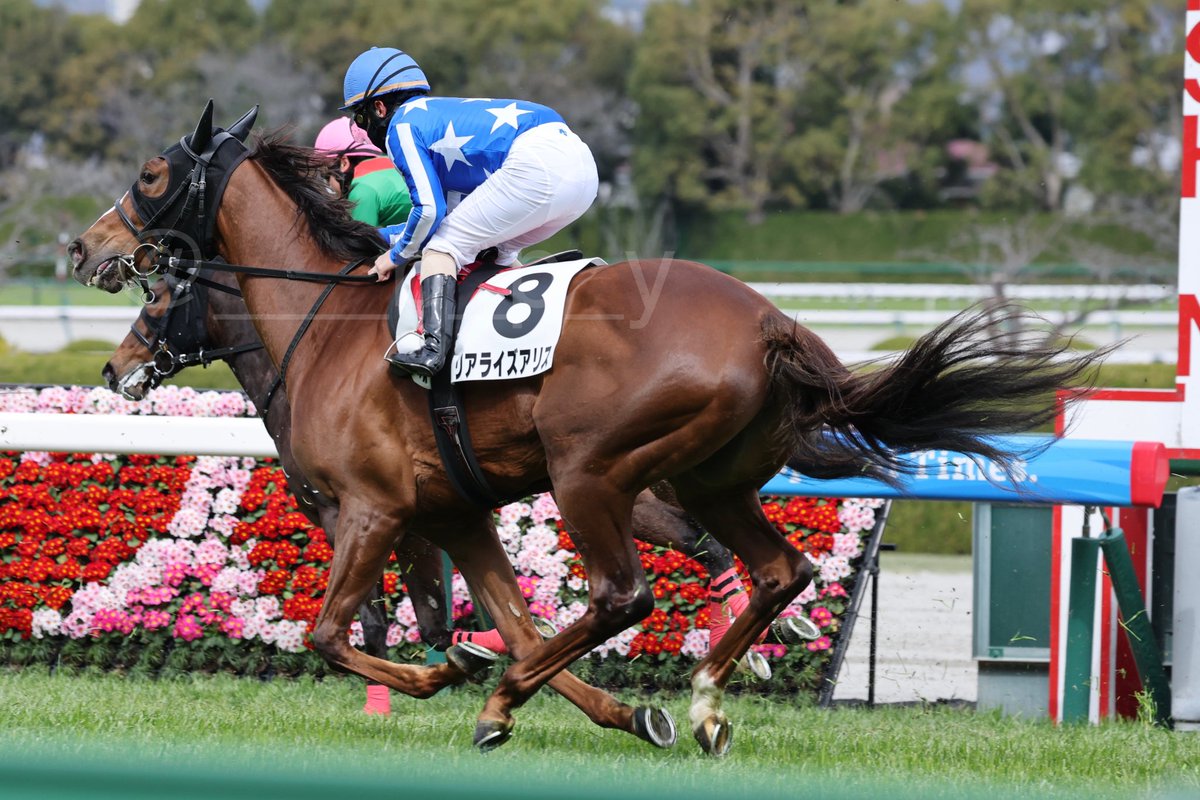 デアリングタクト