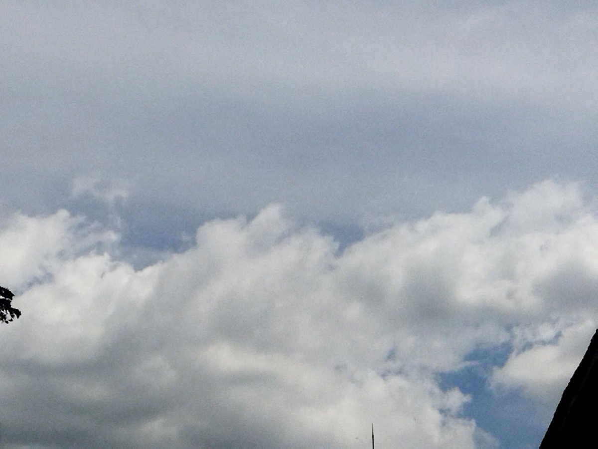 Sheira Aliora tweet media