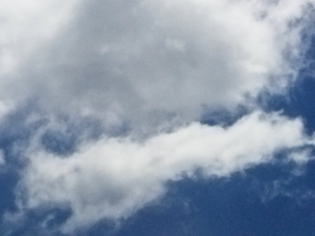 Sheira Aliora tweet media