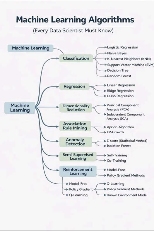 Machine Learning Algorithms