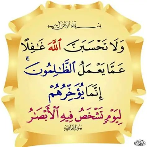 45DAWOOD's tweet photo. @ahmadsaleem5 https://t.co/qBaq71GssV