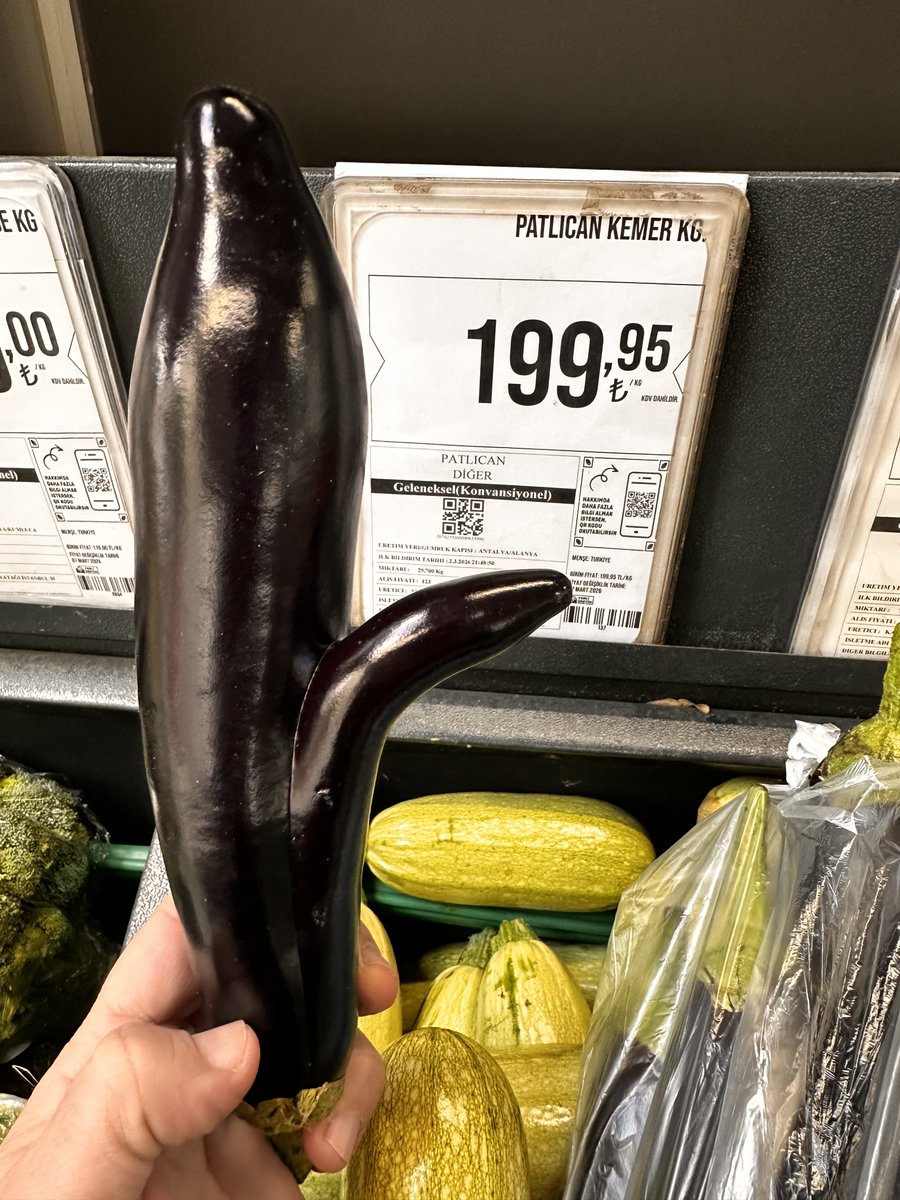 ⁦<a href="/Rasmusnemes/">Rasmus</a>⁩ 200 tl ye patlican mi olur? I