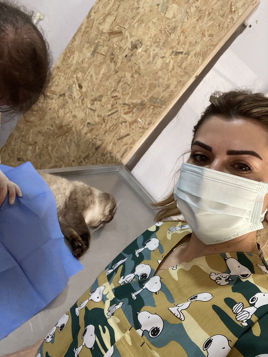 Bazen diğer mesleği de icra etmek gerekiyor… 😉

Odin paşam bugün kısırlaştırma operasyonunda… 🥹

Minik kalbiyle kocaman bir cesaret 🤎🐾