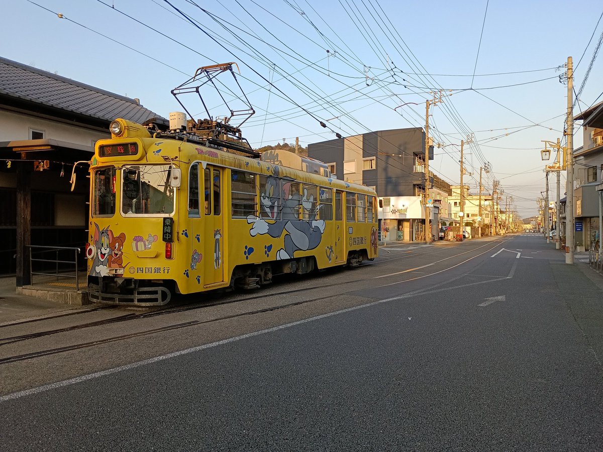 西花マキ tweet media