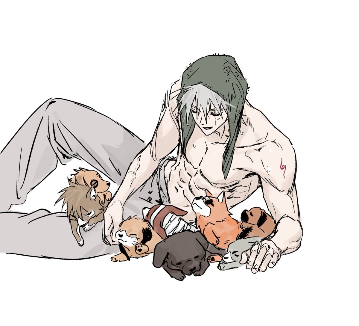 범고래 tweet media