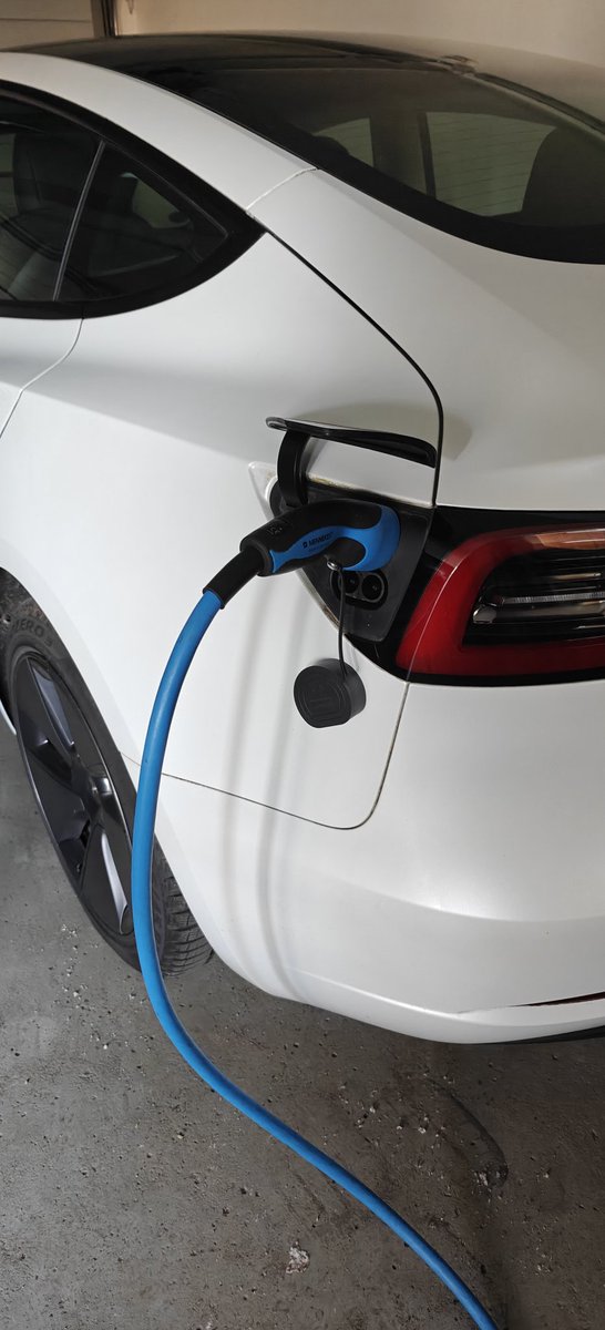 Leander Diedrich tweet media