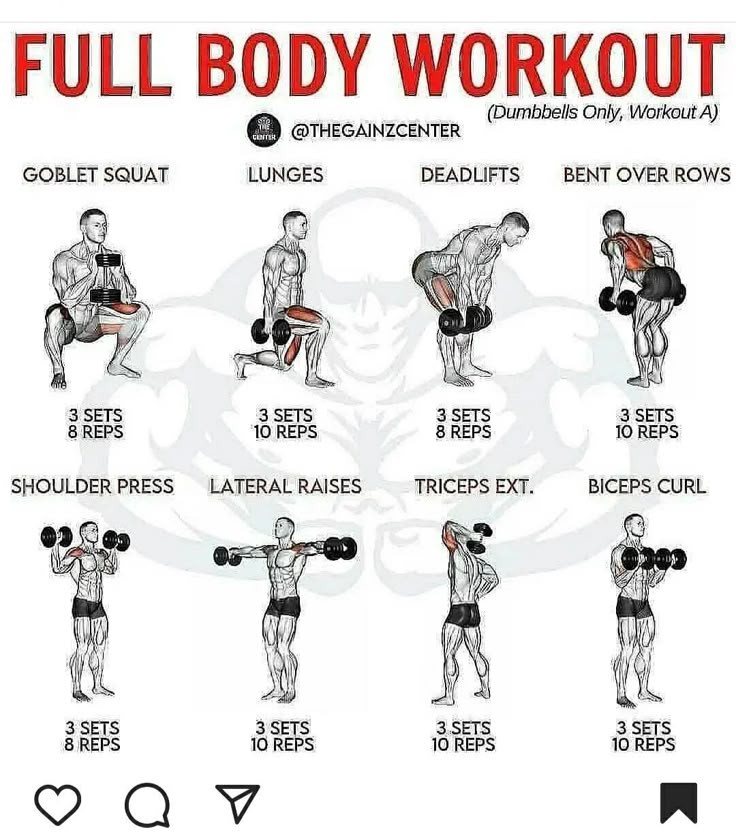 Full Body Workout