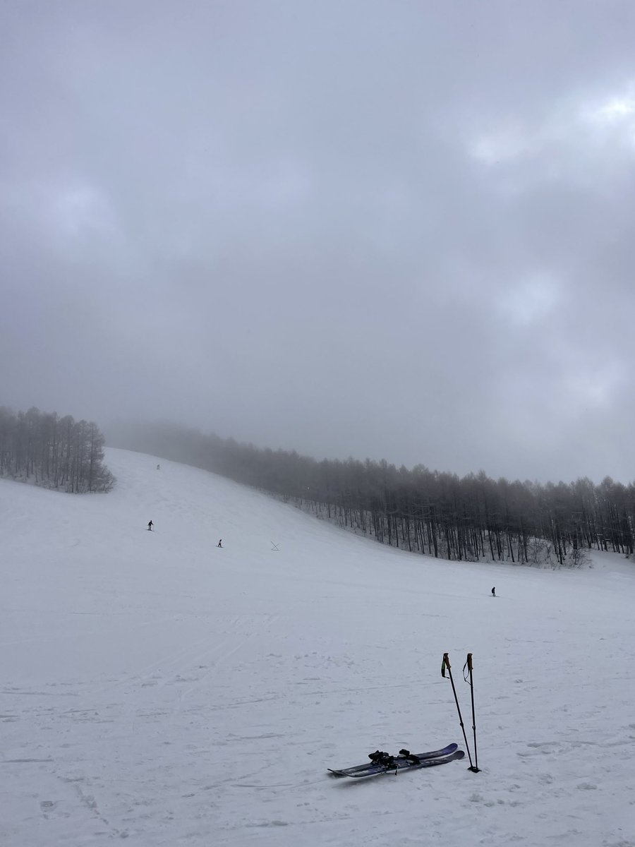 リンク tweet media