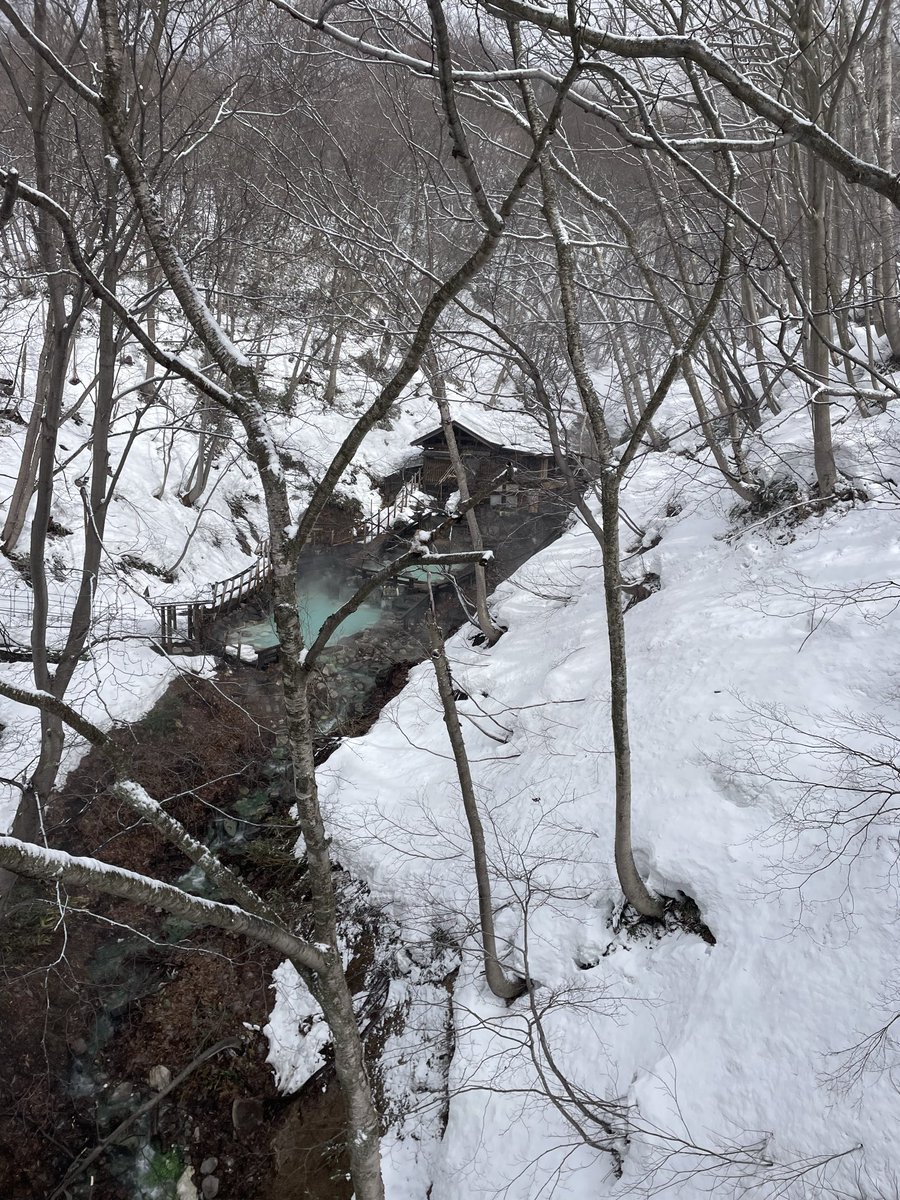 リンク tweet media