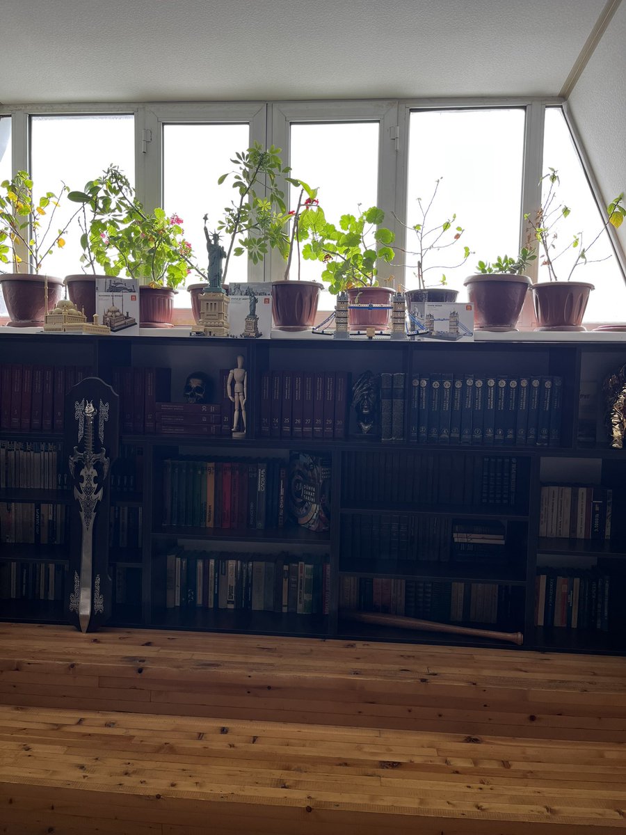 thebakhtiyorov tweet media