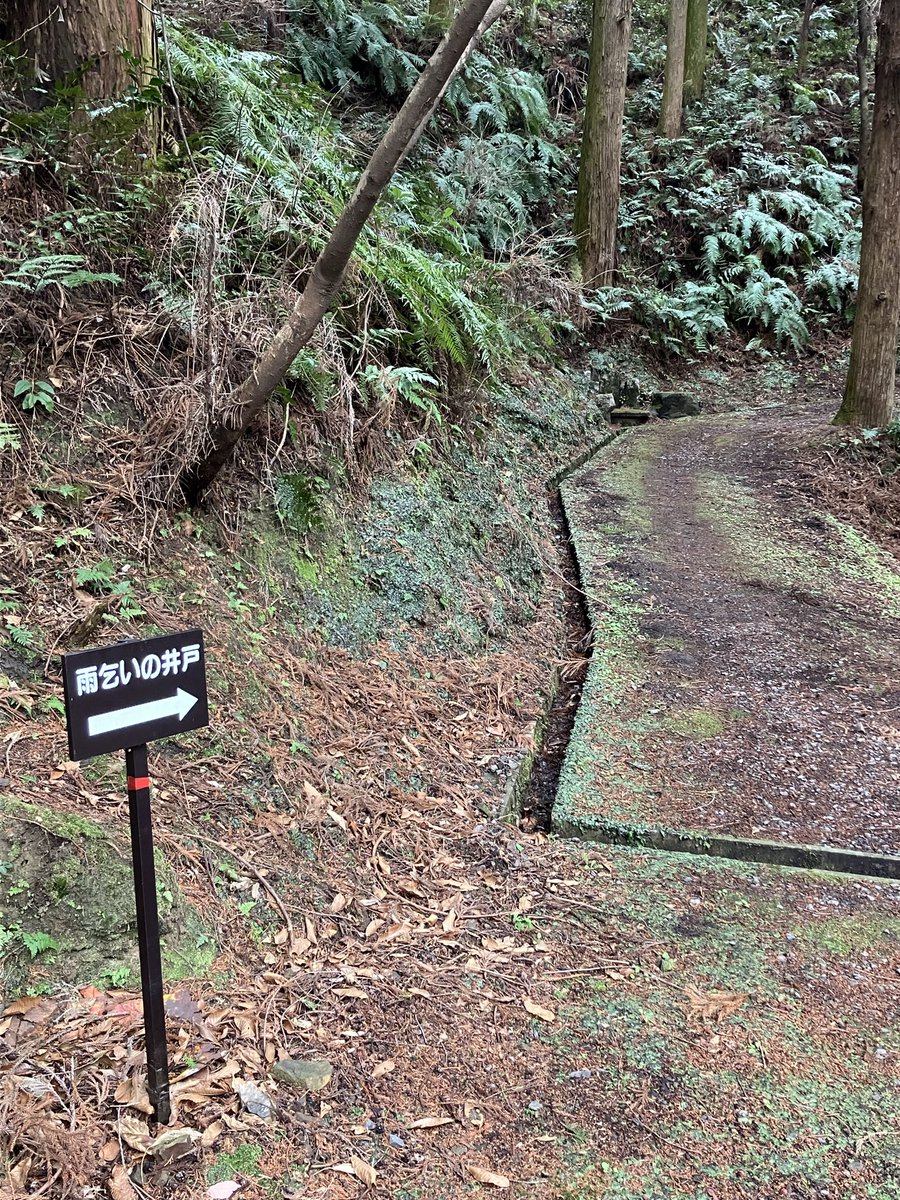 まさくん tweet media