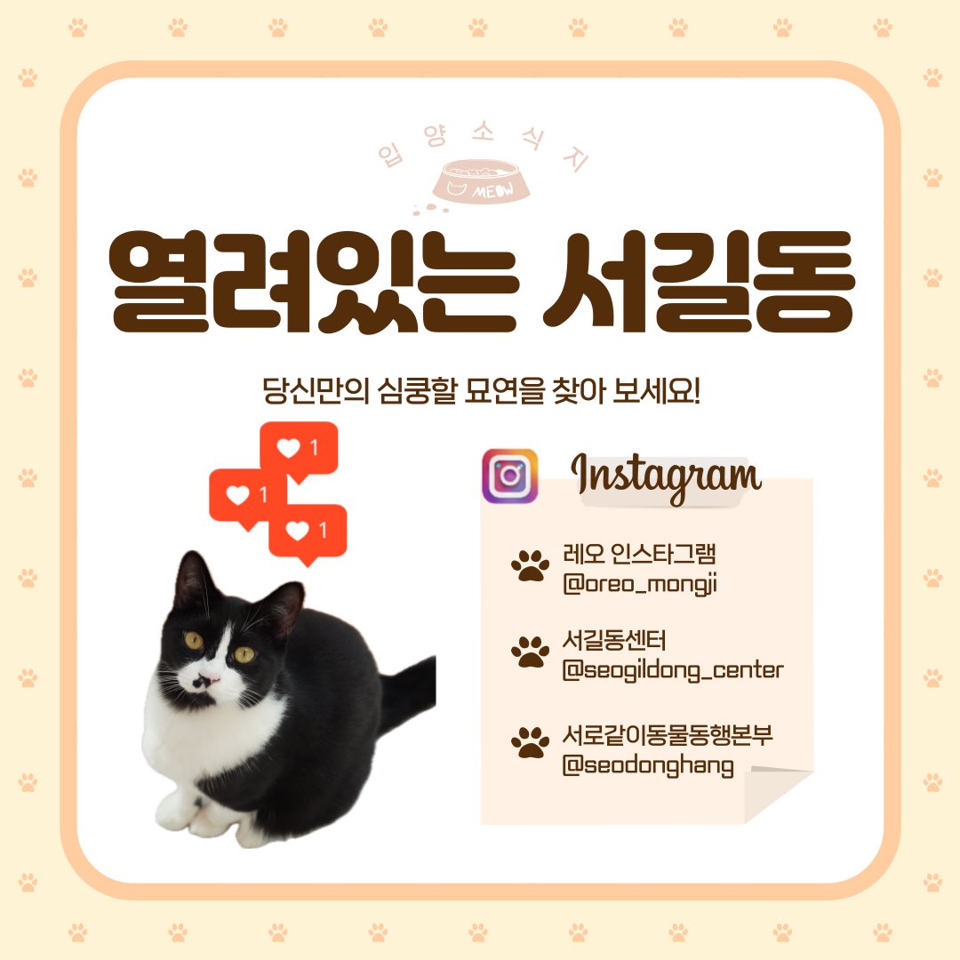 seogildong_'s tweet photo. https://t.co/gjIK8vsdgr