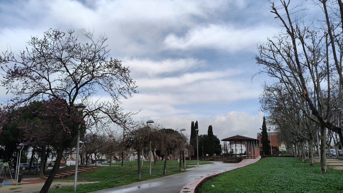 Joan Ramon Mercè tweet media