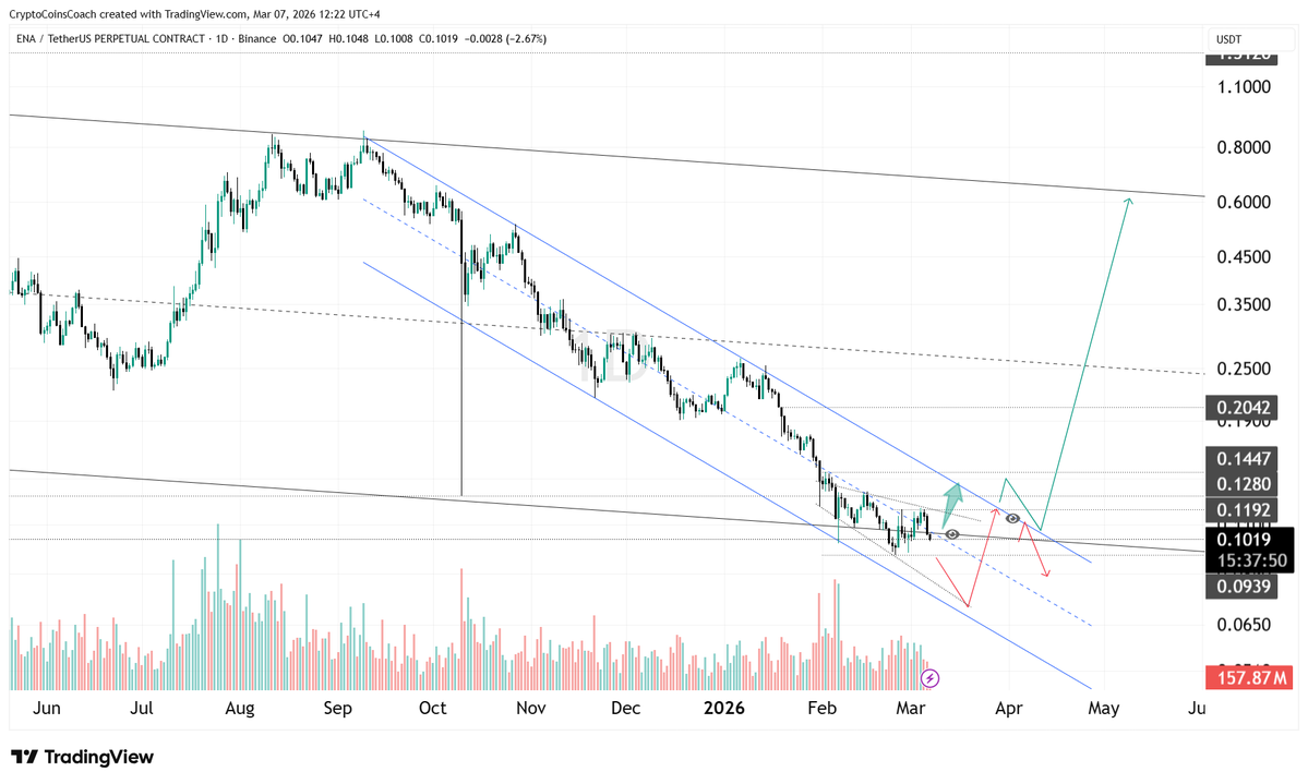 Crypto Coins Coach tweet media