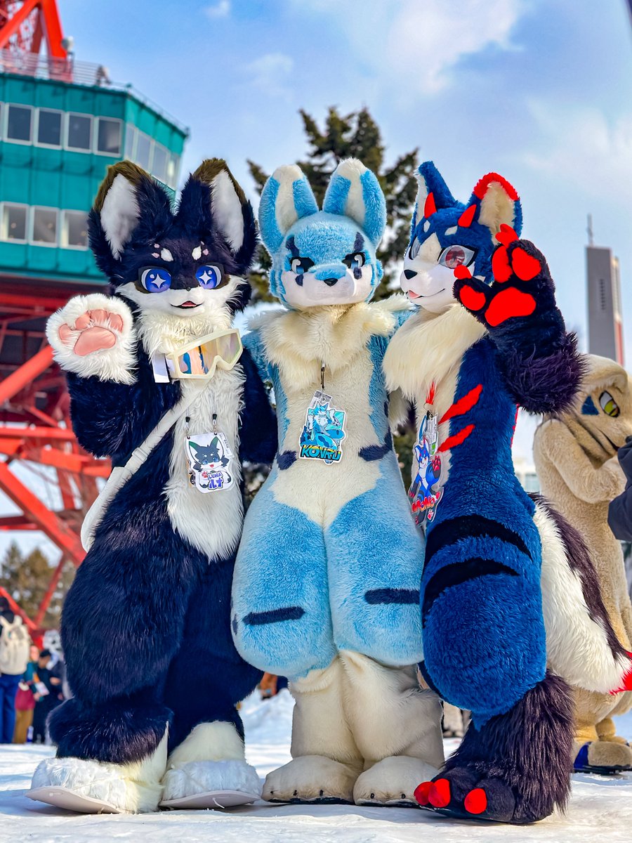 青星(Sirius)@4.17~20大阪 tweet media