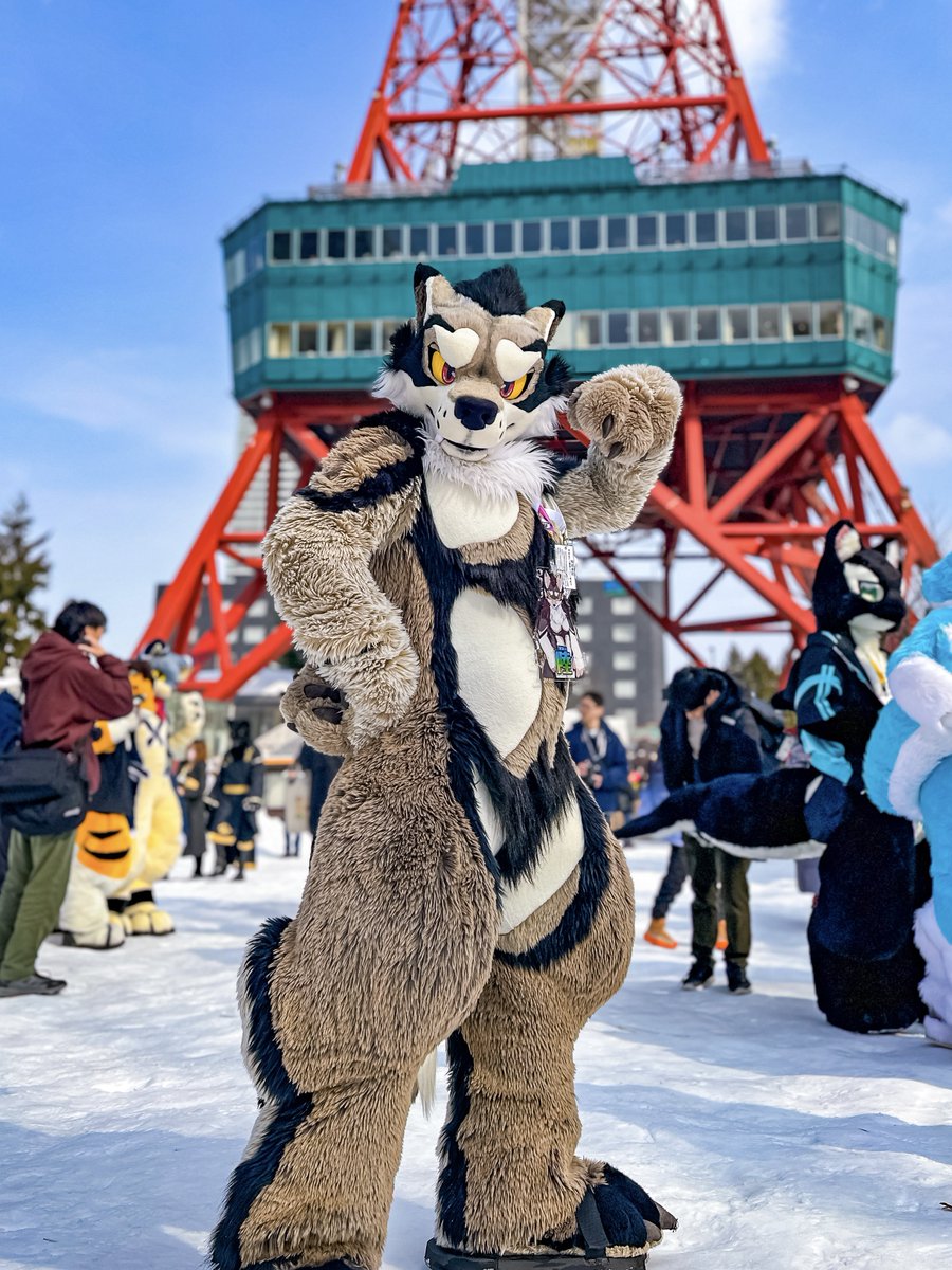 青星(Sirius)@4.17~20大阪 tweet media