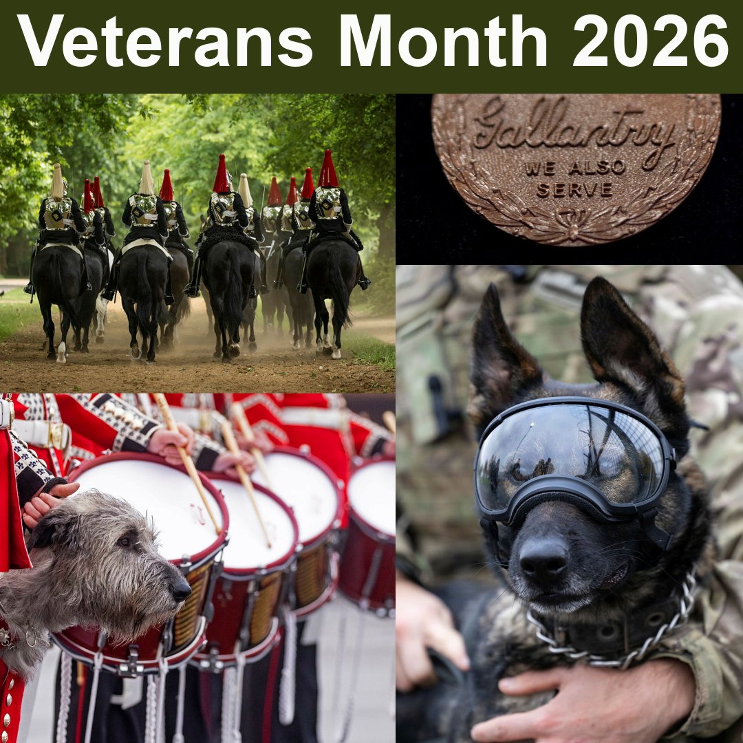 Veterans Month 🇬🇧 tweet media