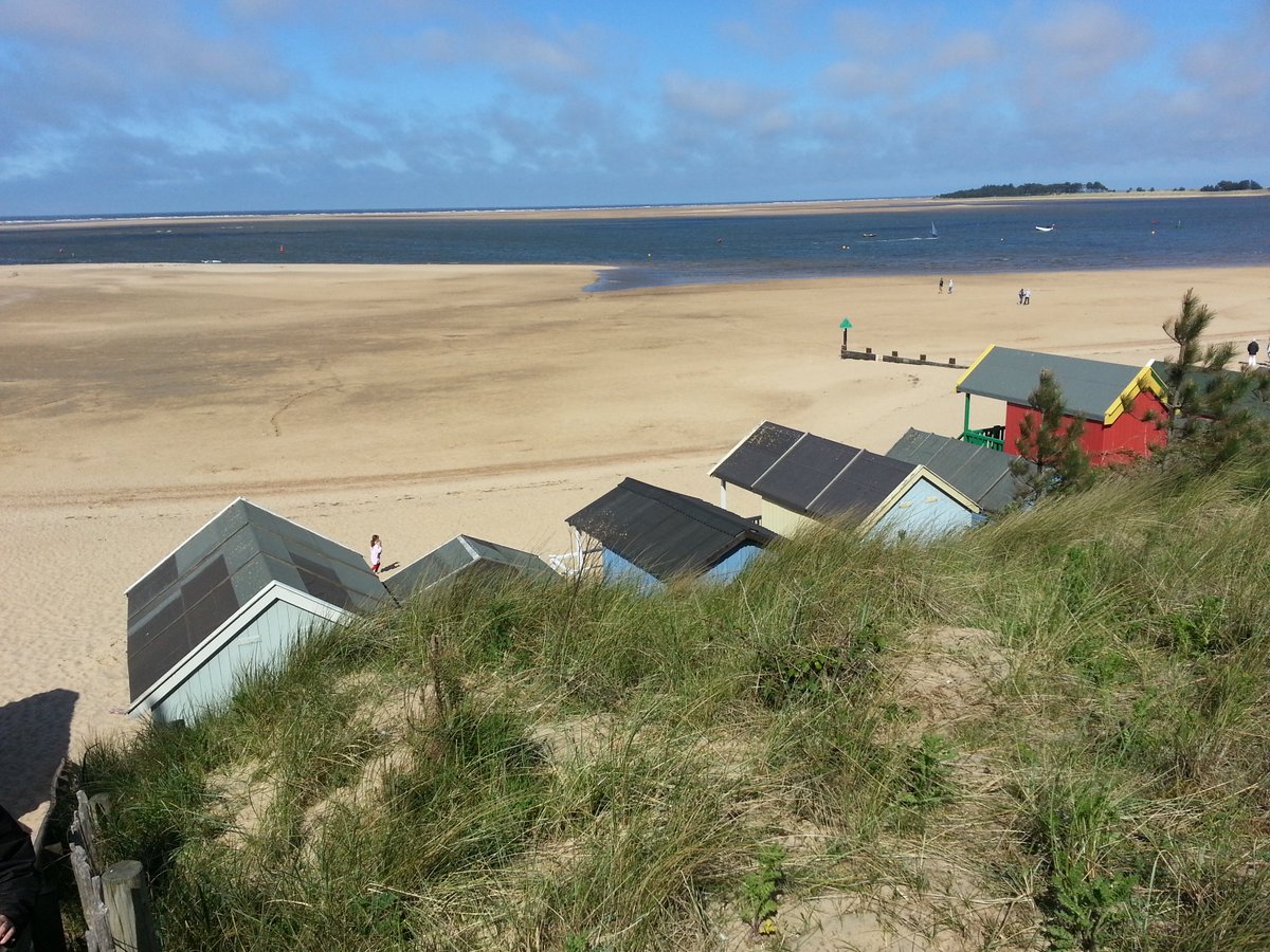 manonabeach tweet media