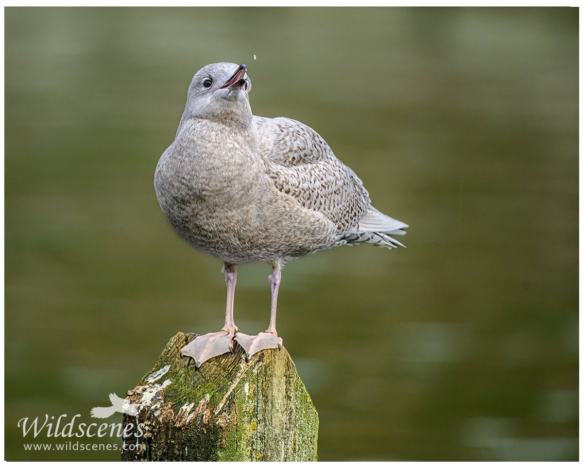 John Gardner tweet media