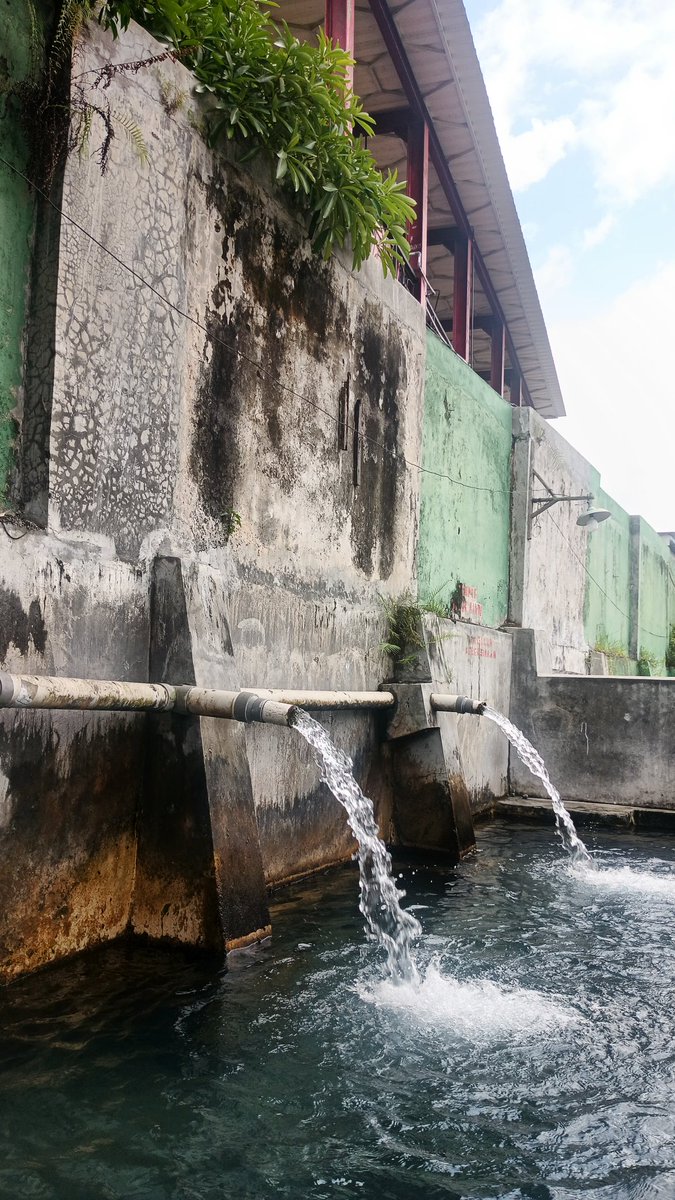 R E X🦖 tweet media