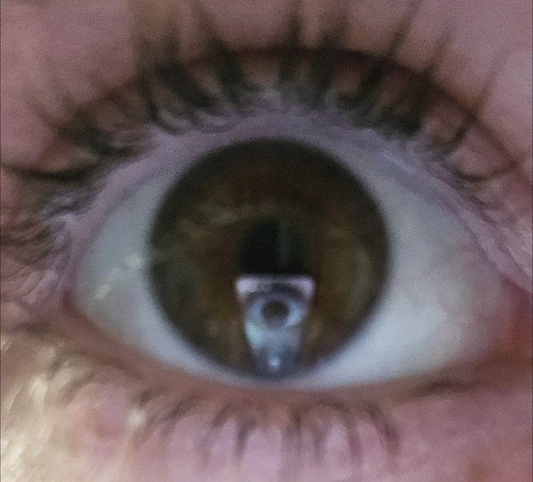 Johnny Mnemonic tweet media