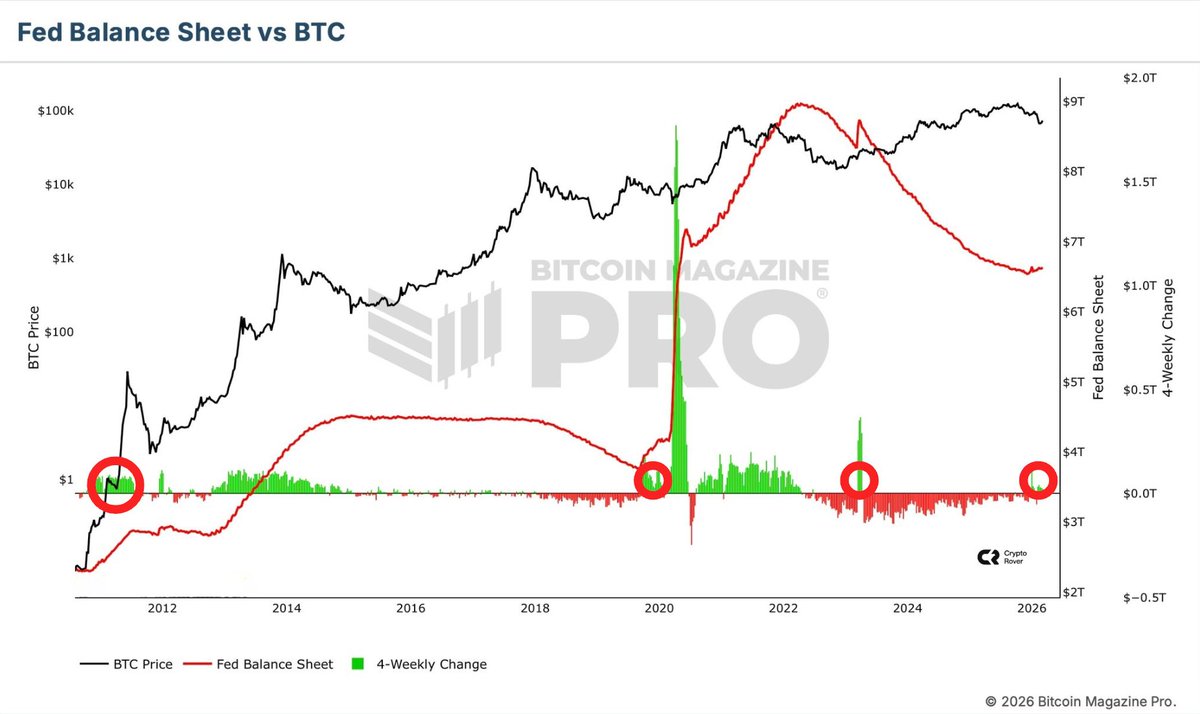 cryptorover tweet picture