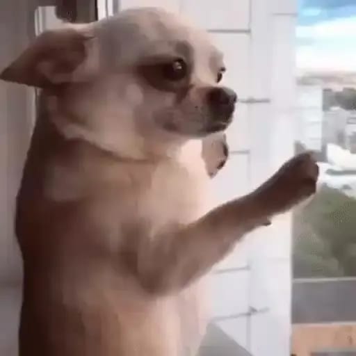 It's a new day.

Let's have a fruitful one