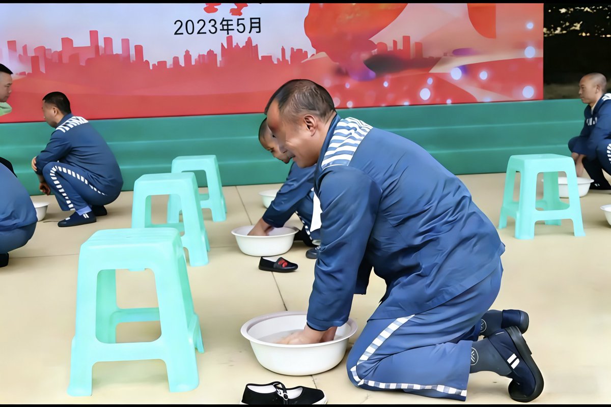 土豆 tweet media