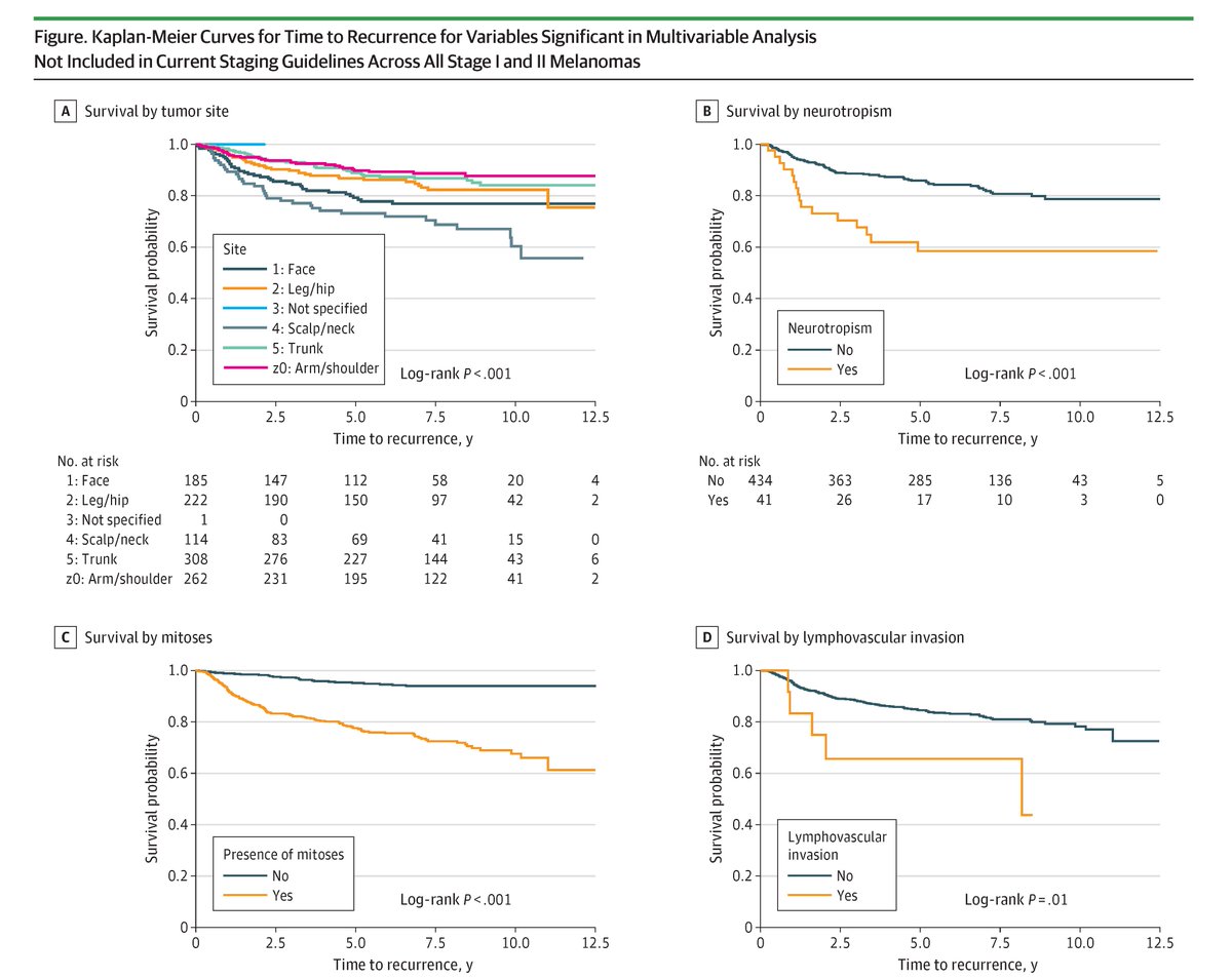 JAMA Dermatology tweet media