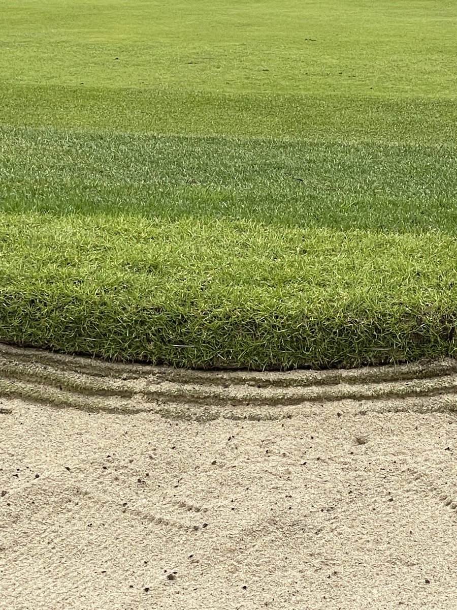 Ken Kearney tweet media