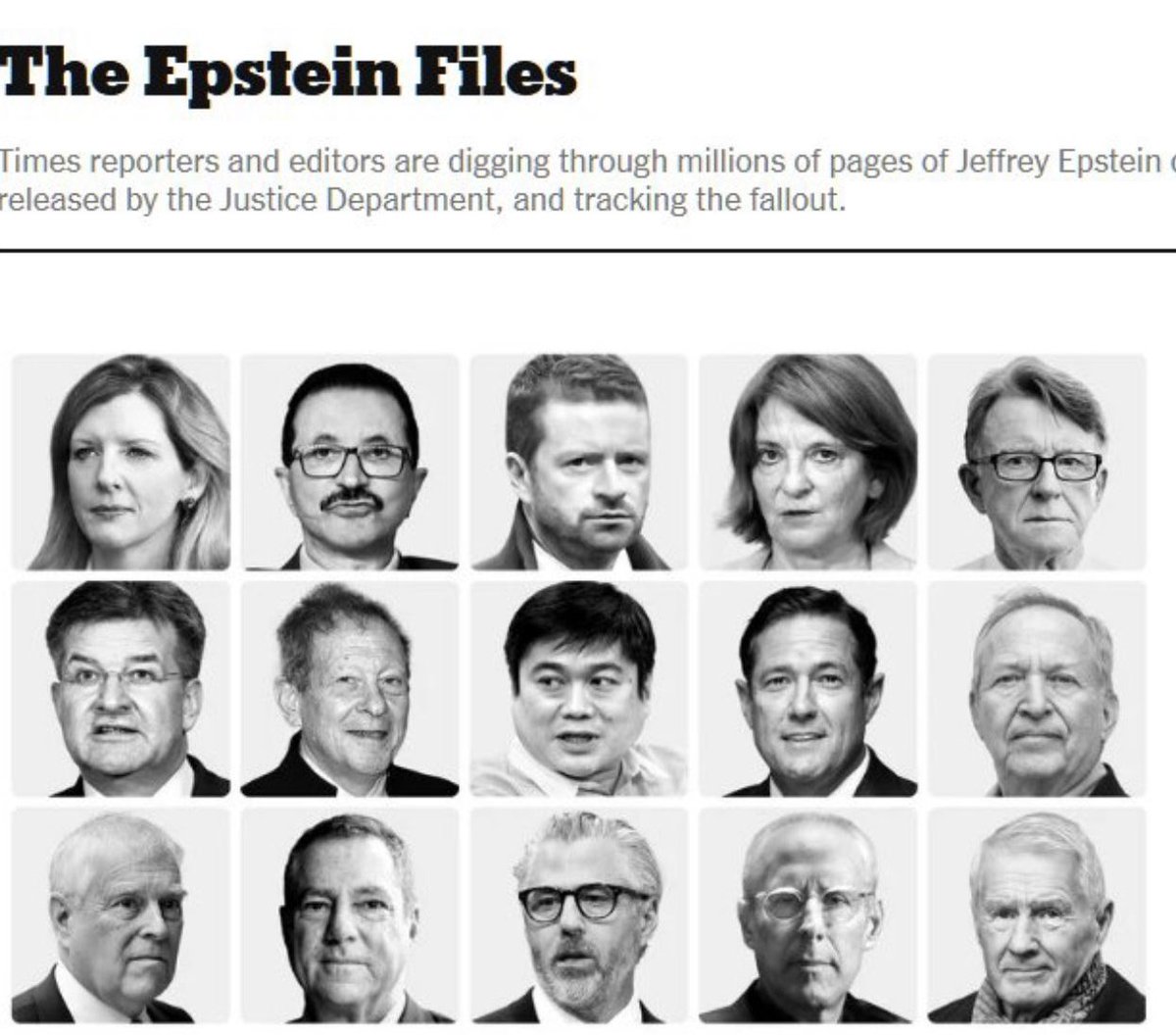 あおい🐾 tweet media