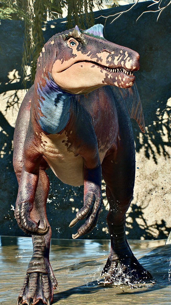 📸－FIRST－📸 tweet media