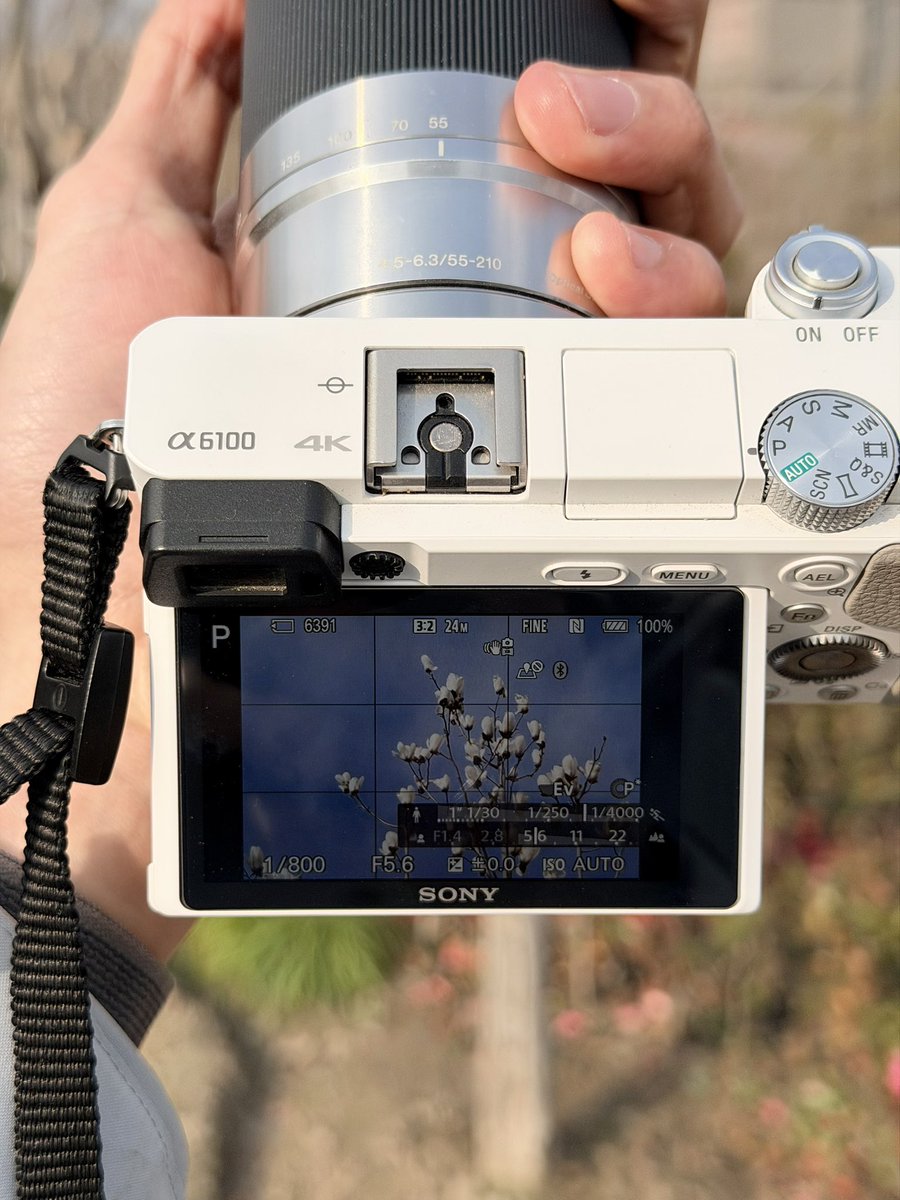 Schultz233 tweet media