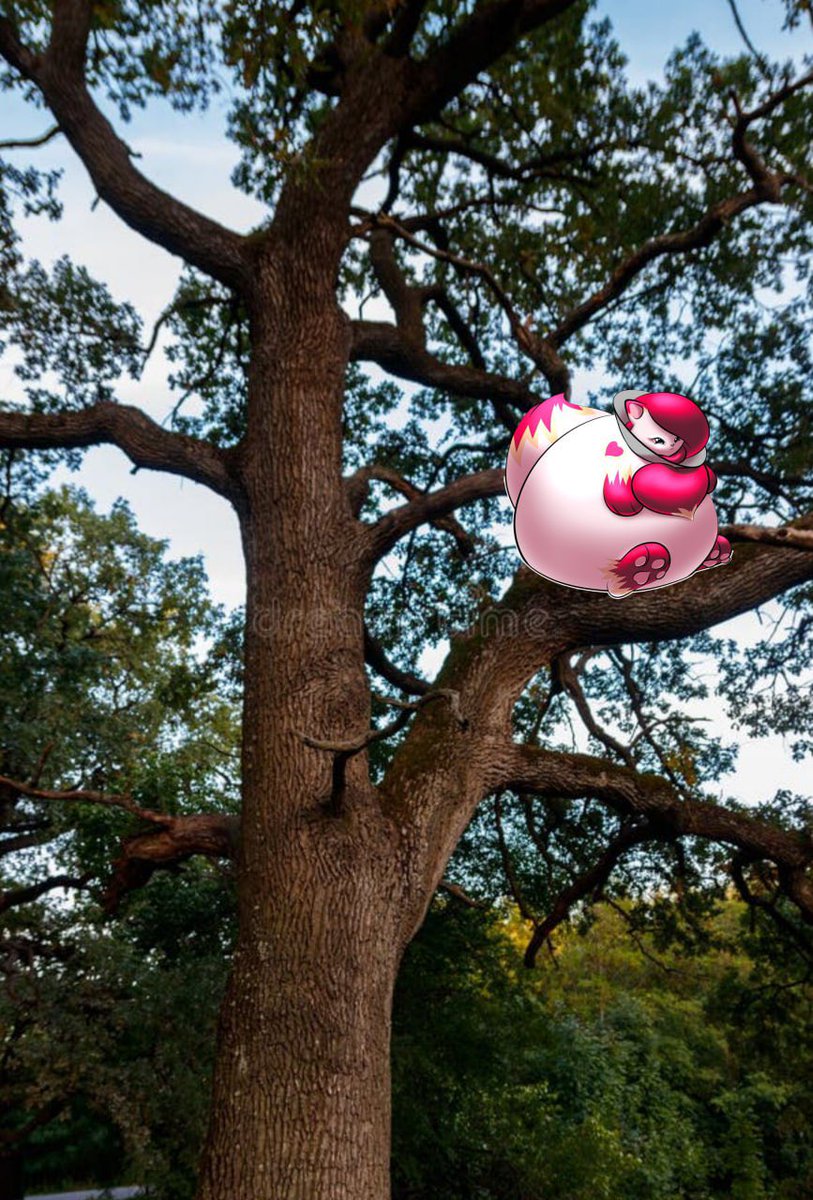 Anima DeRosa (@animaderosa) on Twitter photo 