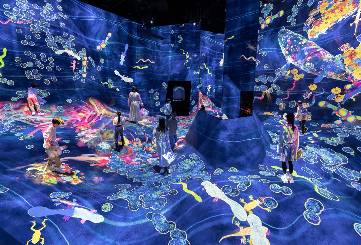 チームラボ プラネッツ teamLab Planets TOKYO tweet media