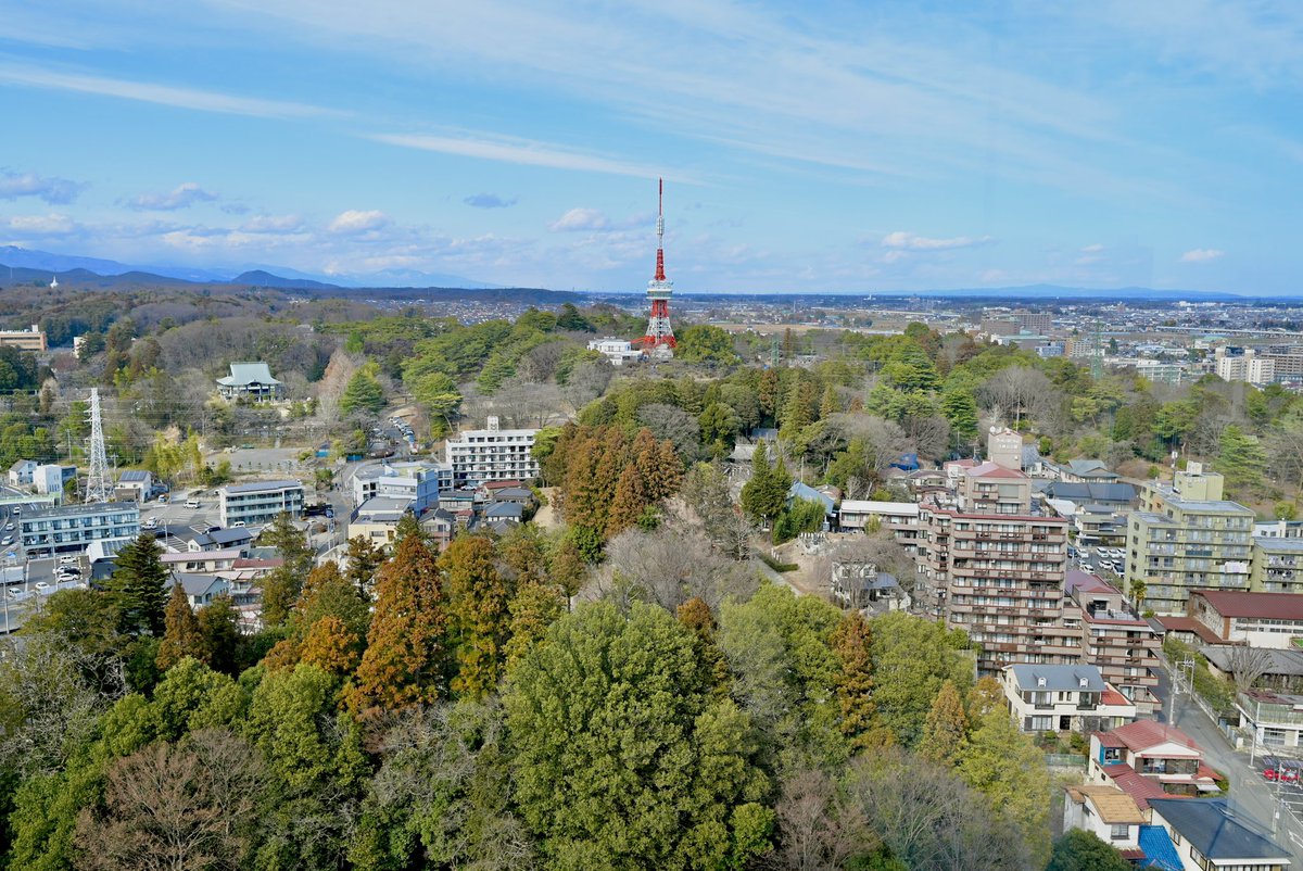 栃木県庁 15階展望ロビー
