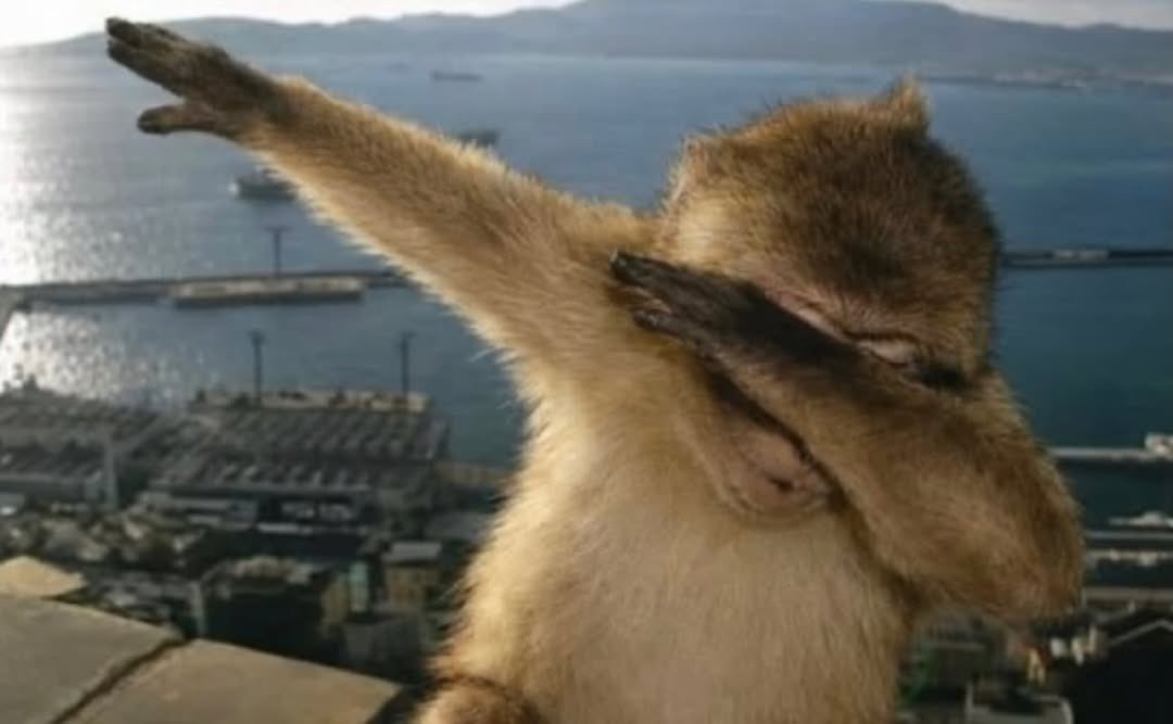 precisamos voltar a fazer dab