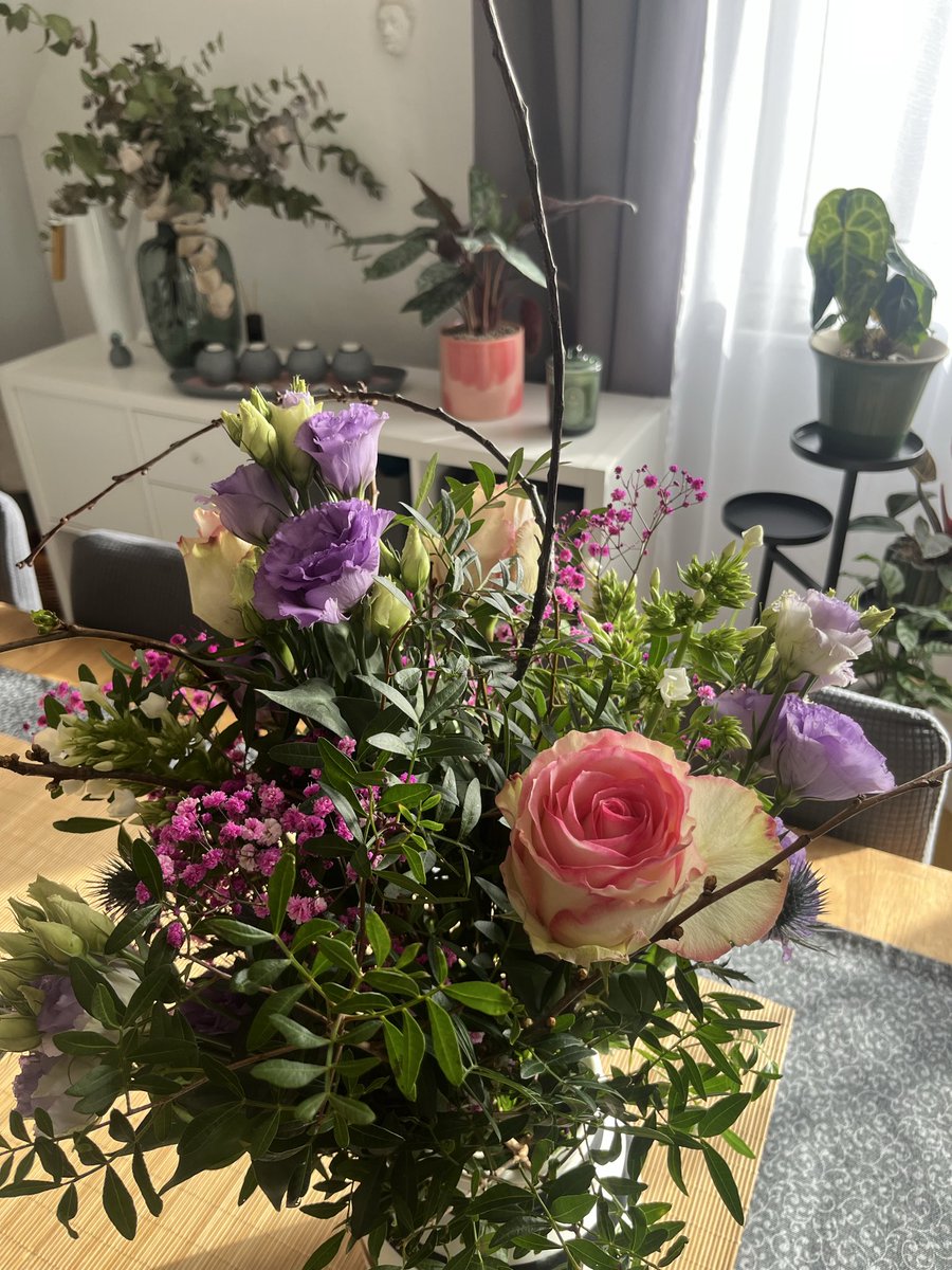 🕷️🦎ᴅɪɴᴏꜱᴀᴜʀɪᴇʀᴍäᴅᴄʜᴇɴ.🦇🌿 tweet media