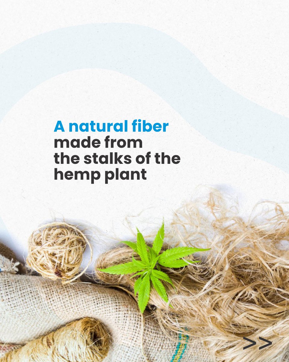 nifbpl's tweet photo. Know your fabric – Hemp!

A natural fiber from hemp plant stalks, valued for its strength, breathability &amp; durability. Requiring less water &amp; fewer pesticides, it’s an eco-friendly choice for apparel, home textiles &amp; accessories. 
_
#NIFGlobal #HempFabric #Fashion #KnowYourFabric https://t.co/k8sLmVUDky