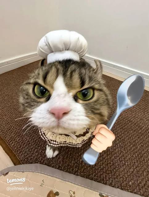 Psycholégiste ⚖️🧠 tweet media