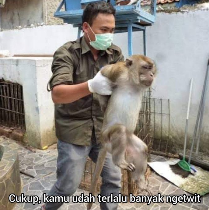 rohmat_permadi's tweet photo. @garitdwn @MilyhyaAsli @elonmusk @prabowo https://t.co/2LdRUgNxrP