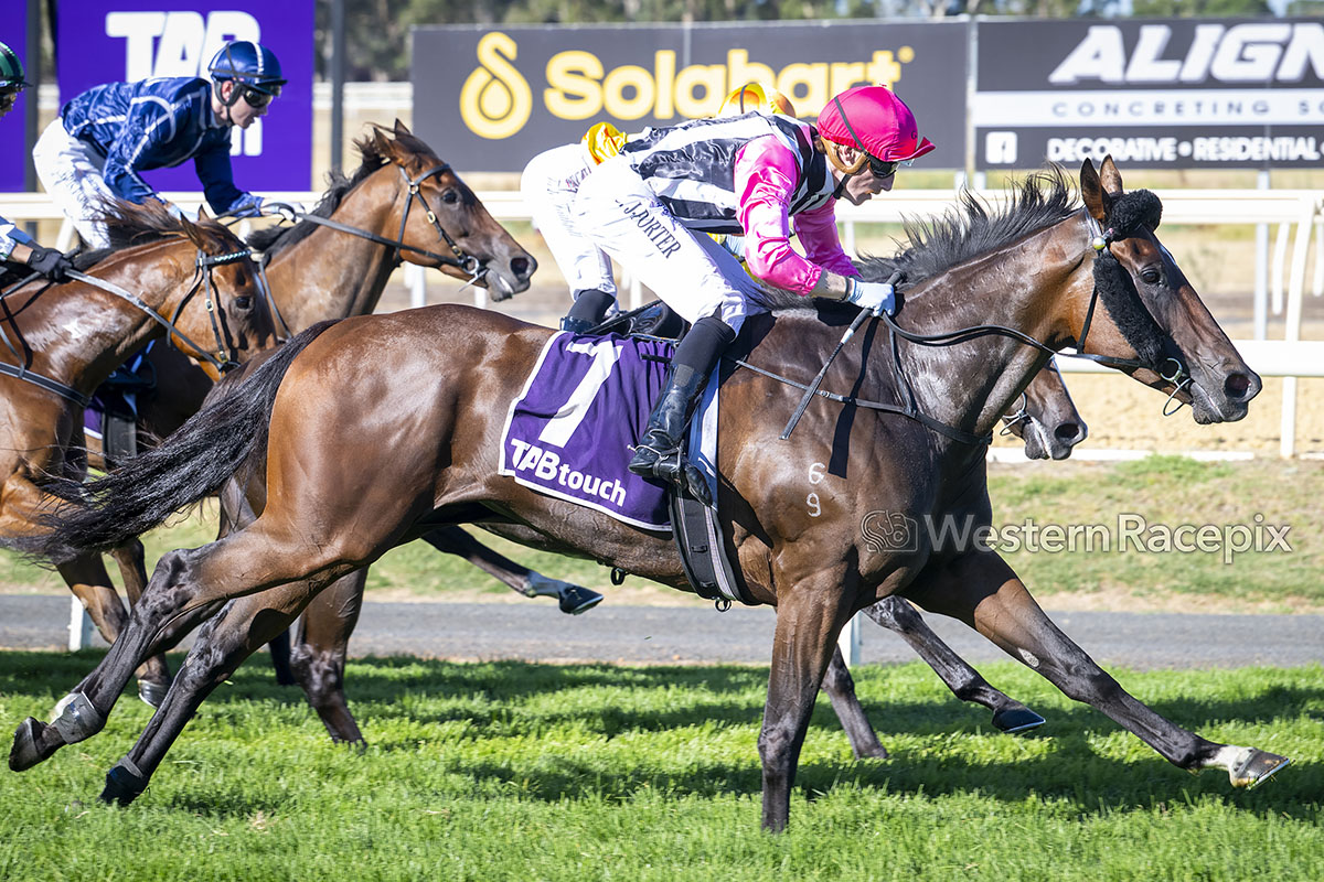 Western Racepix tweet media