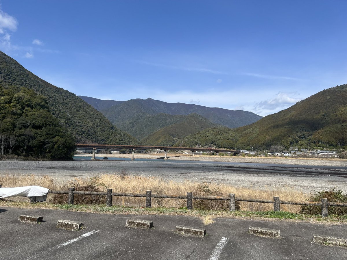 ねこさん tweet media