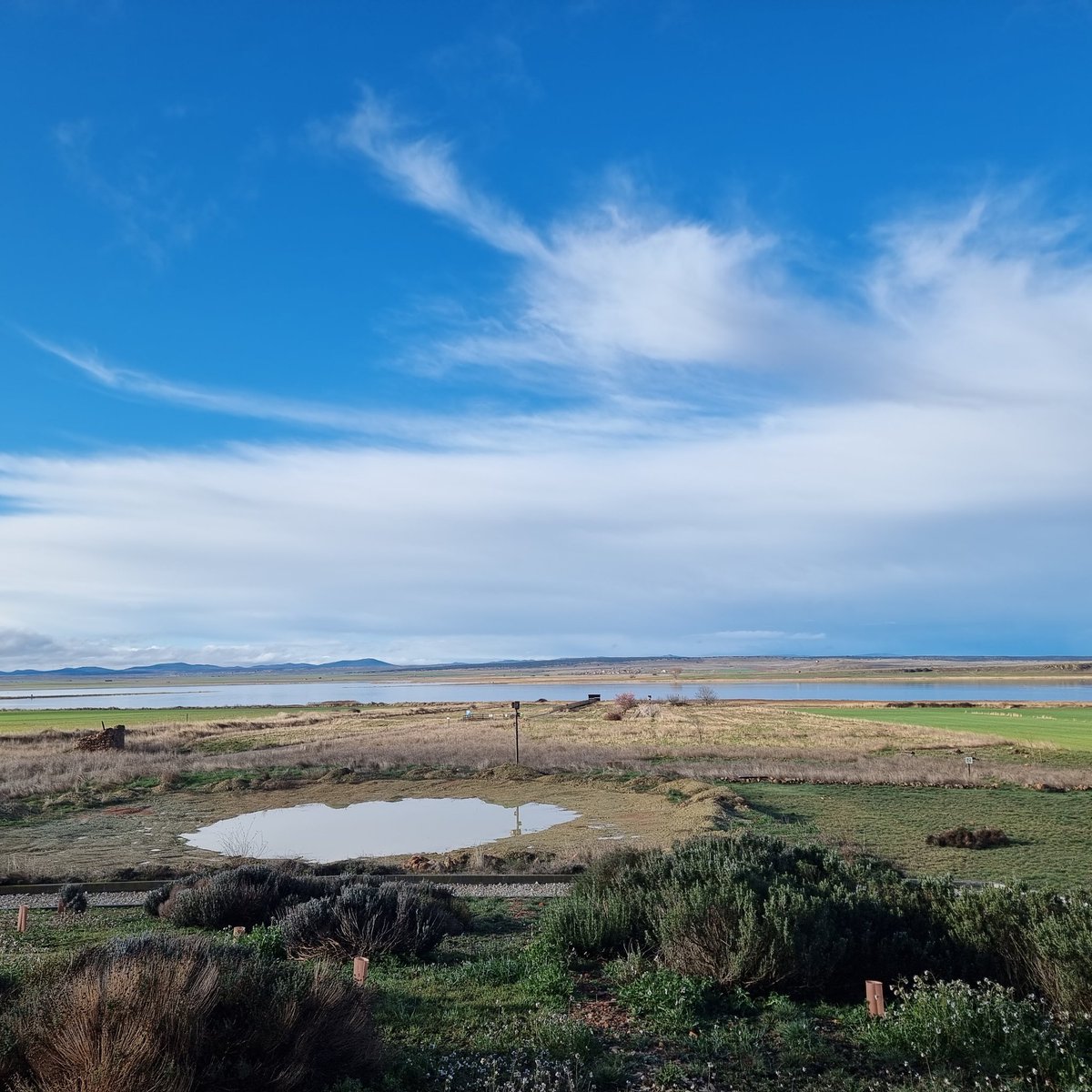 Temperatura 🌡 a las 8h  4.4°
Acumulación de agua de ☔️ entre ayer y hoy 62 litros.
Buen y feliz día para todos.
Sábado 7 marzo
#lagunaDeGallocanta