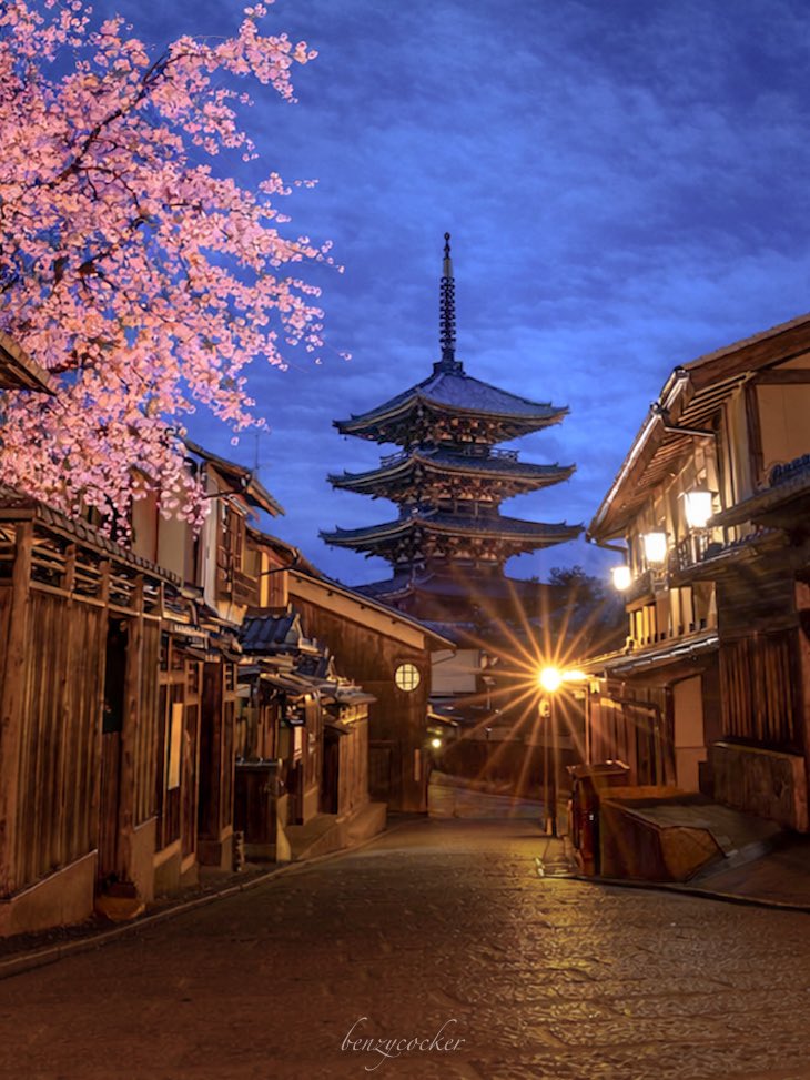 桜の吐息、時が止まる京都の夜。